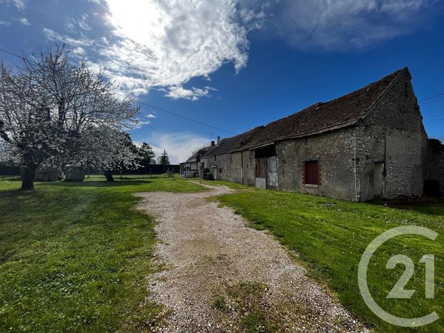 maison - BEAUCE LA ROMAINE - 41