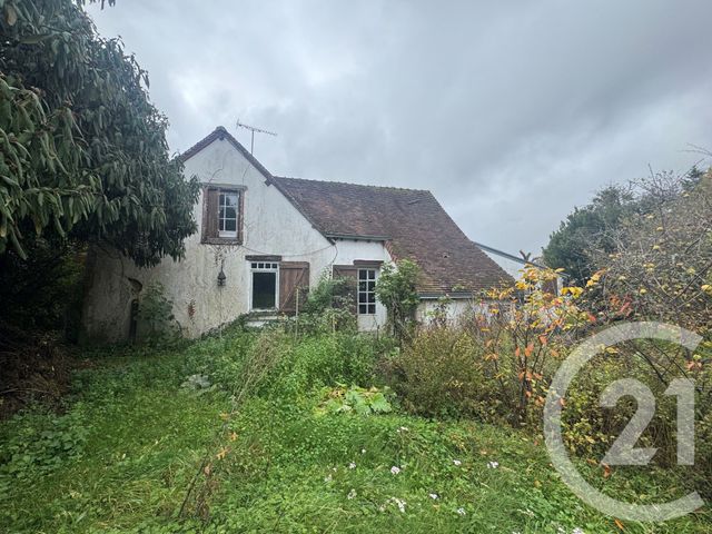 maison - VIEVY LE RAYE - 41