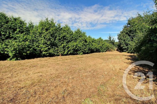 terrain à vendre - 1665.0 m2 - AUTAINVILLE - 41 - CENTRE - Century 21 Girault Immobilier