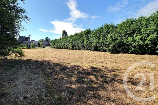 terrain à vendre - 1665.0 m2 - AUTAINVILLE - 41 - CENTRE - Century 21 Girault Immobilier