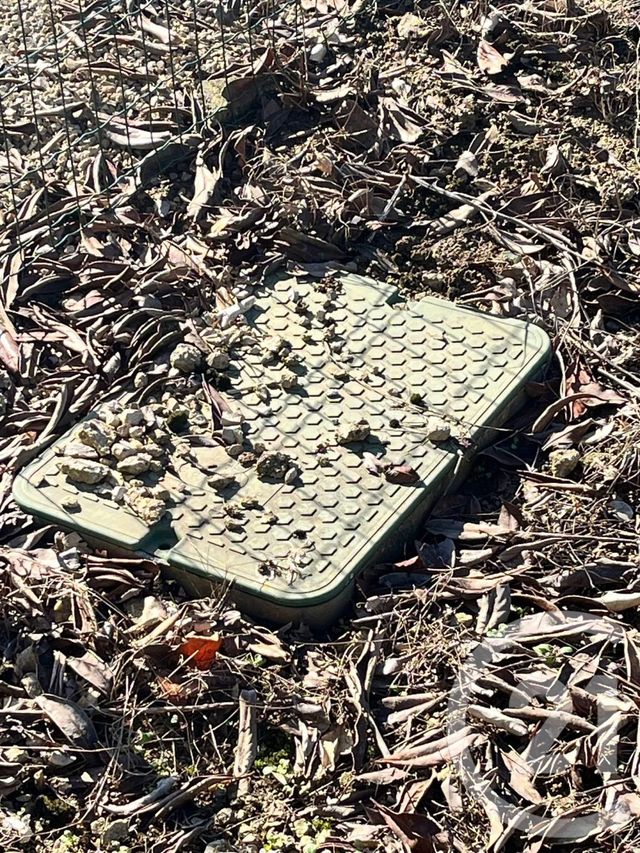 terrain à vendre - 645.0 m2 - EPIEDS EN BEAUCE - 45 - CENTRE - Century 21 Girault Immobilier